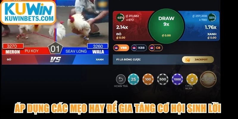 Áp dụng các mẹo hay để gia tăng cơ hội sinh lời khi đặt cược đá gà KUWIN